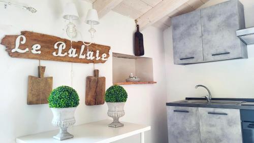una cucina con due vasi con piante su un bancone di Agriturismo Podere Le Palaie a Monterotondo