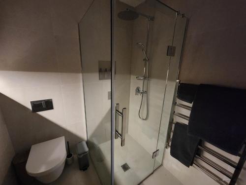 a bathroom with a shower and a toilet at Cosy Luxury City Fringe in Auckland