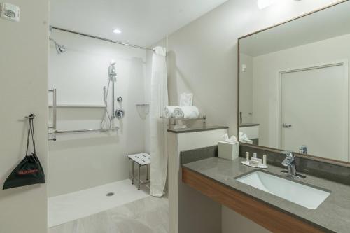a bathroom with a sink and a mirror and a shower at Fairfield Inn & Suites by Marriott Gainesville I-75 in Gainesville