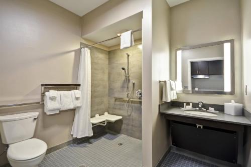 uma casa de banho com um WC, um lavatório e um chuveiro em TownePlace Suites by Marriott Cranbury South Brunswick em Cranbury