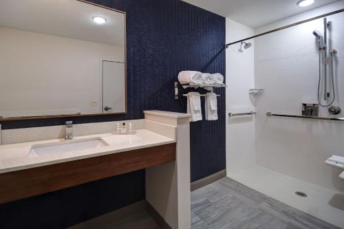 y baño con lavabo y ducha. en Fairfield by Marriott Inn & Suites Grand Rapids Wyoming, en Wyoming