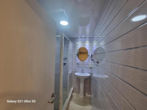 a small bathroom with a sink and a shower at Loft Altos Suite in Puerto Natales