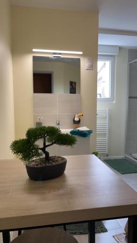 un bonsaï assis au-dessus d'une table dans l'établissement Studio de Célestine, à Vernon