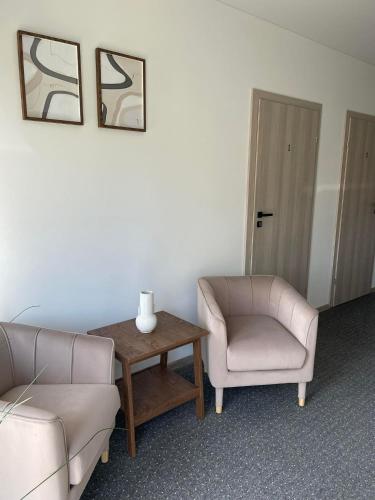 Ruang duduk di Izabelės apartamentai