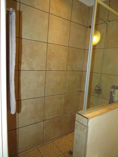 a shower with a glass door in a bathroom at White House Lodge in White River