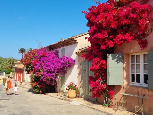 a street with flowers on the side of a building at Porquerolles - La Porquerollaise in Porquerolles