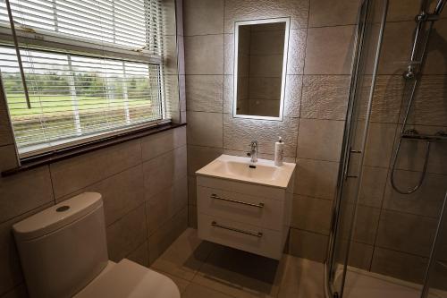 a bathroom with a toilet and a sink and a shower at Glendaloch B&B in Antrim