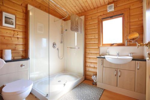 a bathroom with a shower and a toilet and a sink at Birchlea in Kippford