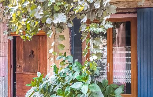 Stunning Apartment In Villes Sur Auzon