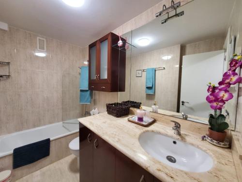 La salle de bains est pourvue d'un lavabo, de toilettes et d'une baignoire. dans l'établissement Alojamiento en Villamayor, à Villamayor