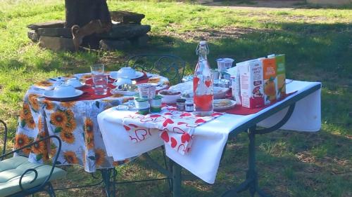 a picnic table with food and drinks on it at Sunshine Suites in Florence