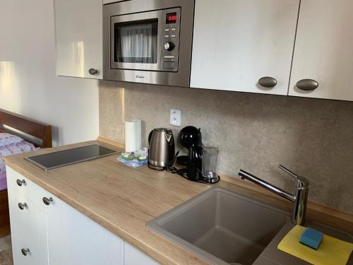 a kitchen counter with a sink and a microwave at Chalupa Krompach in Krompach