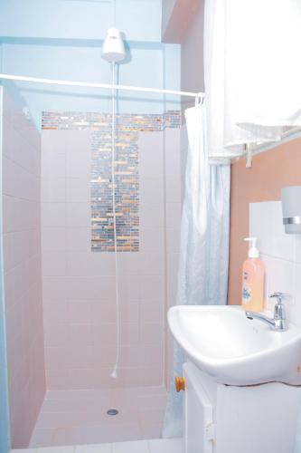 a bathroom with a sink and a shower at Buttercup Cottage Apartments in Arnos Vale