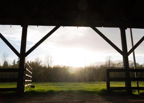 a barn with a bench in a field with the sunlight at Saturn's Return in Friday Harbor