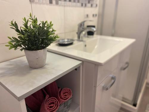 Billede fra billedgalleriet på Apartman Stipančić i Labin