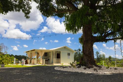a house with a tree in front of it at Bello Amanecer Guest House with Private Pool in Anasco