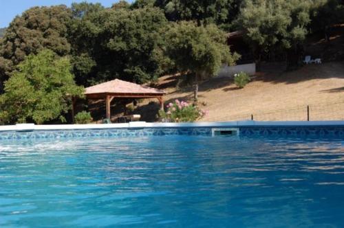 a swimming pool with blue water in front of a house at Gites Chalets de Grosseto-Prugna in Grosseto-Prugna