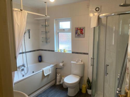 een badkamer met een bad, een toilet en een douche bij Mountroyal Victorian Self Catering Apartments in Belfast