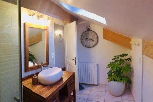 een badkamer met een wastafel, een spiegel en een plant bij Beautiful Home with Large Gardens and Heated Pool in Sauveterre-la-Lémance