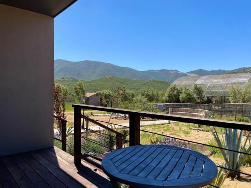 a blue bench on a deck with mountains in the background at Coquenas del Valle in Valle de Guadalupe