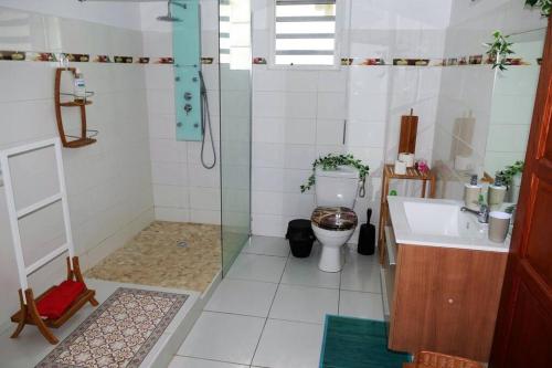 y baño con ducha, aseo y lavamanos. en Villa Saint-Paul, en Pointe-Noire