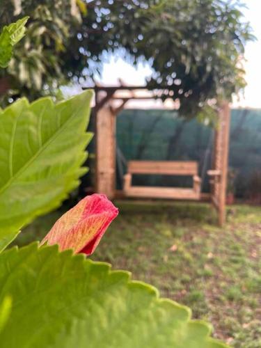 a park bench in the background with a red leaf at Villa Saint-Paul in Pointe-Noire