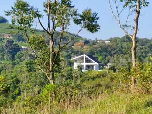 Gallery image of Winter Woods in Vagamon