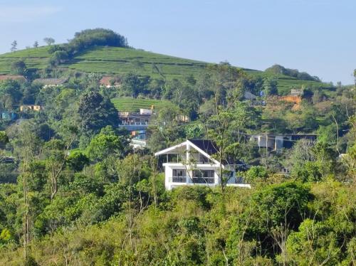 Gallery image of Winter Woods in Vagamon