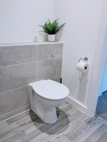 a bathroom with a toilet and a plant on the wall at Modern House in Manchester