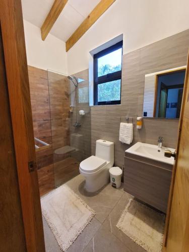 a bathroom with a toilet and a shower and a sink at Villa en la montaña in Jarabacoa