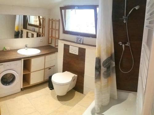 łazienka z toaletą, umywalką i telewizorem w obiekcie Cozy Villa close to CERN, Geneva Airport, UN w mieście Gex