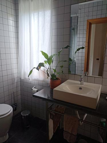 a bathroom with a sink and a potted plant at Valmoa T4 in Praia da Vitória