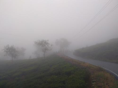 a foggy road with trees on the side of a road at The Laughing Woods AC Resort in Kotagiri