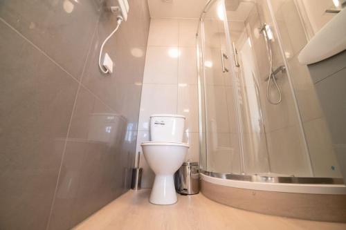 uma casa de banho com um WC e um chuveiro em Spacious and Stylish 1 Bed Modern Flat em Londres