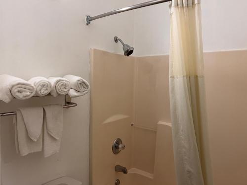 a bathroom with a shower with towels and a shower curtain at Quality Inn in Maysville