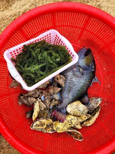 a red basket with a fish and a bowl of algae at Bãi Xếp Beach in Quy Nhon