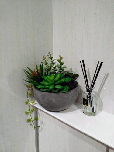 a plant sitting on top of a shelf at Guesthouse La Cava women's single room / Vacation STAY 21865 in Yokohama