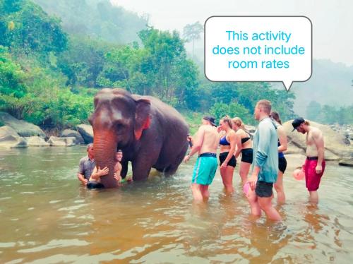 um grupo de pessoas de pé na água com um elefante em The Chater@kangkud em Ban Muang Kut