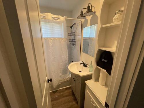 uma pequena casa de banho com um lavatório e um chuveiro em Modern ~ Comfortable ~ Downtown, Queen beds, Bikes em Greenville