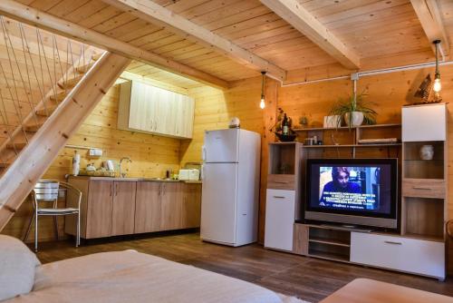 a kitchen with a refrigerator and a tv in a room at Chalet Mediterraneo in Ulcinj