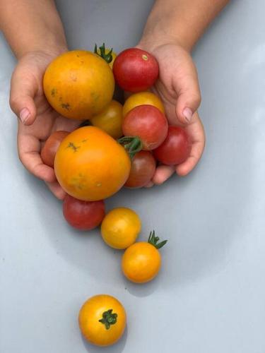 Φαγητό σε αυτή η παραθεριστική κατοικία ή κάπου εκεί κοντά