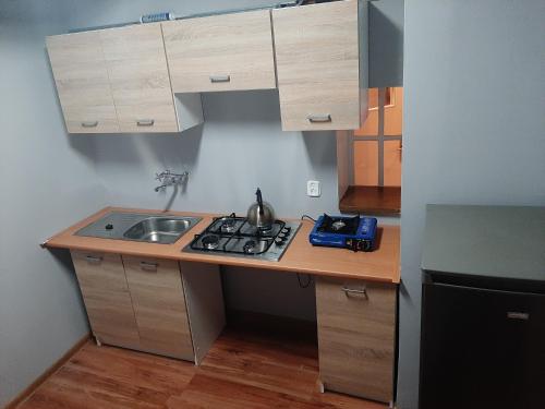 uma pequena cozinha com um lavatório e um fogão em Domek letniskowy w Górznie em Górzno