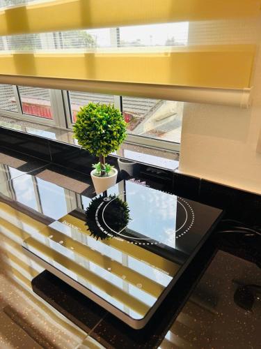 a glass table with a potted plant on top of it at Inn Homestay in Teluk Intan