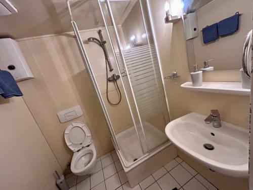 een badkamer met een douche, een toilet en een wastafel bij Piano Apartment in Halle Center - Netflix - Free WiFi 1 in Halle an der Saale