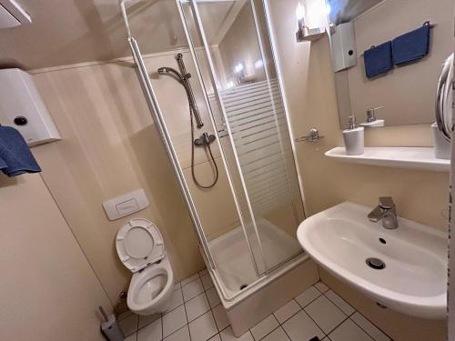Un baño con ducha, inodoro y lavabo. en Piano Apartment in Halle Center - Netflix - Free WiFi 1, en Halle an der Saale