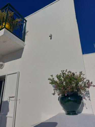 a vase with a plant on the side of a building at Dimora Lavinia Casa vacanze Centro storico Ostuni in Ostuni