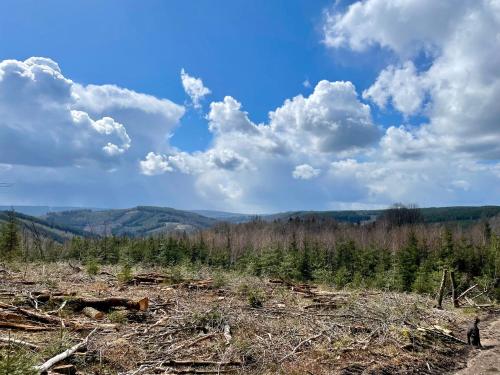 a field with trees and a blue sky with clouds at Le Baron Apartments in Stavelot
