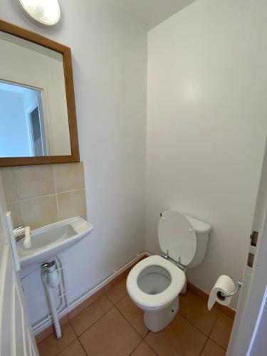 a bathroom with a toilet and a sink and a mirror at Residence du Lac MONFLANQUIN Duplex 1 chambre, 5 personnes, 33m2 in Monflanquin