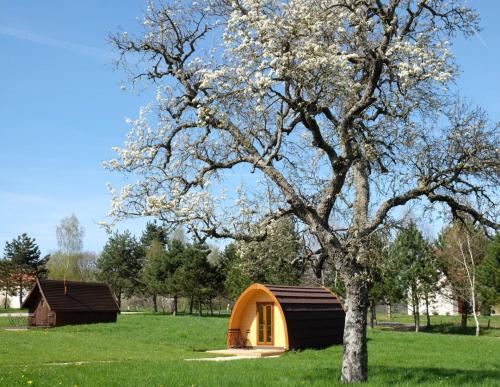 een boom en een kleine tent in een veld bij Domaine de la Grangée in La Chapelle-Blanche-Saint-Martin