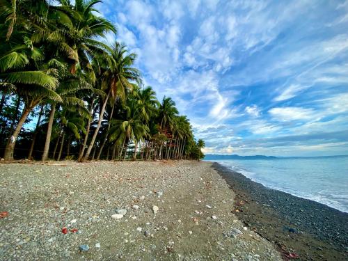 uma praia com palmeiras e o oceano em Villa Eliza Ecofarm em Tibiao